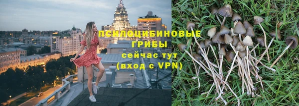 ECSTASY Зеленодольск
