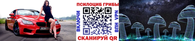 MEGA маркетплейс Касли Псилоцибиновые грибы Magic Shrooms